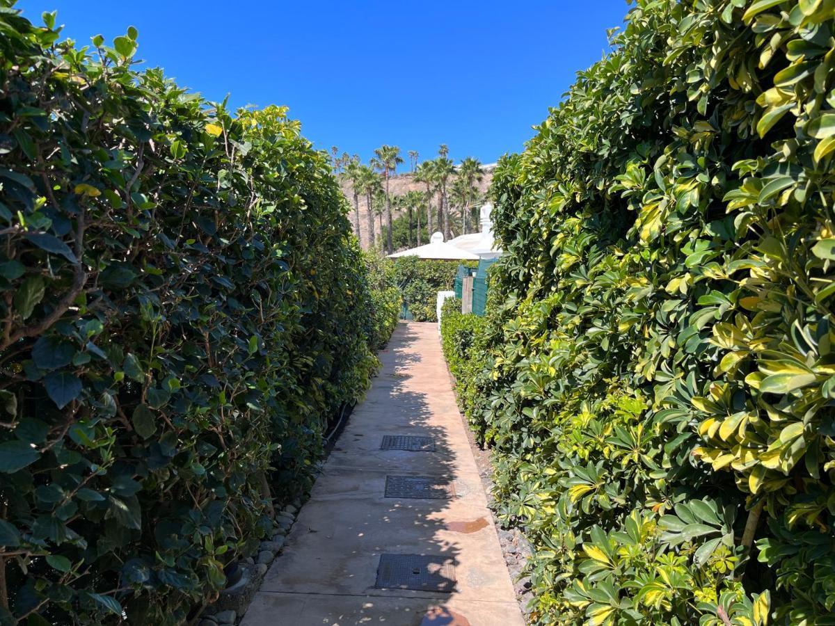 Ahtha Green Bungalow Maspalomas San Bartolome Bagian luar foto